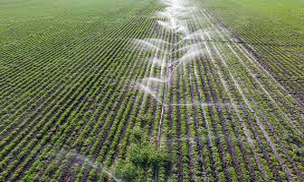 Understanding pH, Hardness, and Minerals in Your Water Quality Report